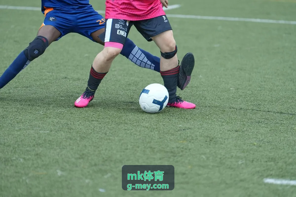 mk体育 综合训练场可切换足球与体能项目